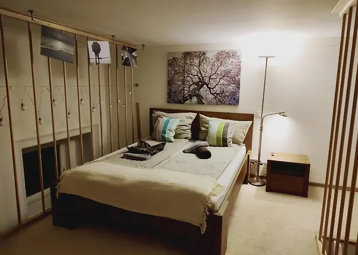 Garage Gratis Deluxe 公寓