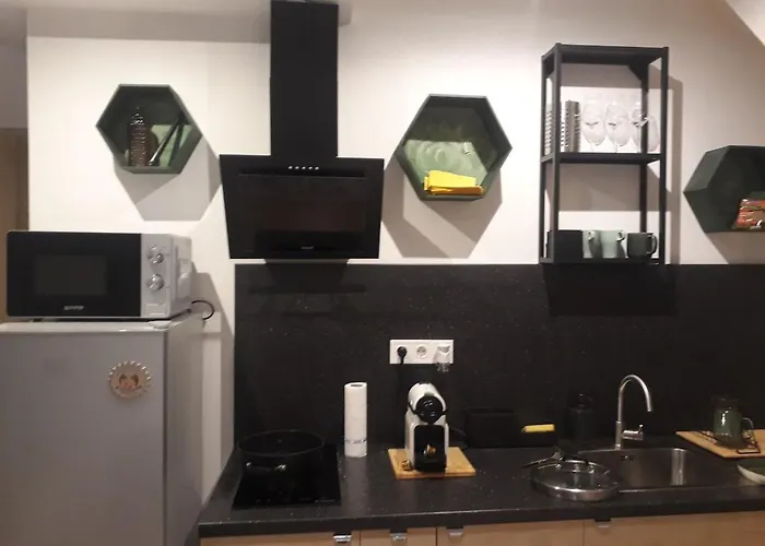 Apartament Garage Gratis Deluxe *